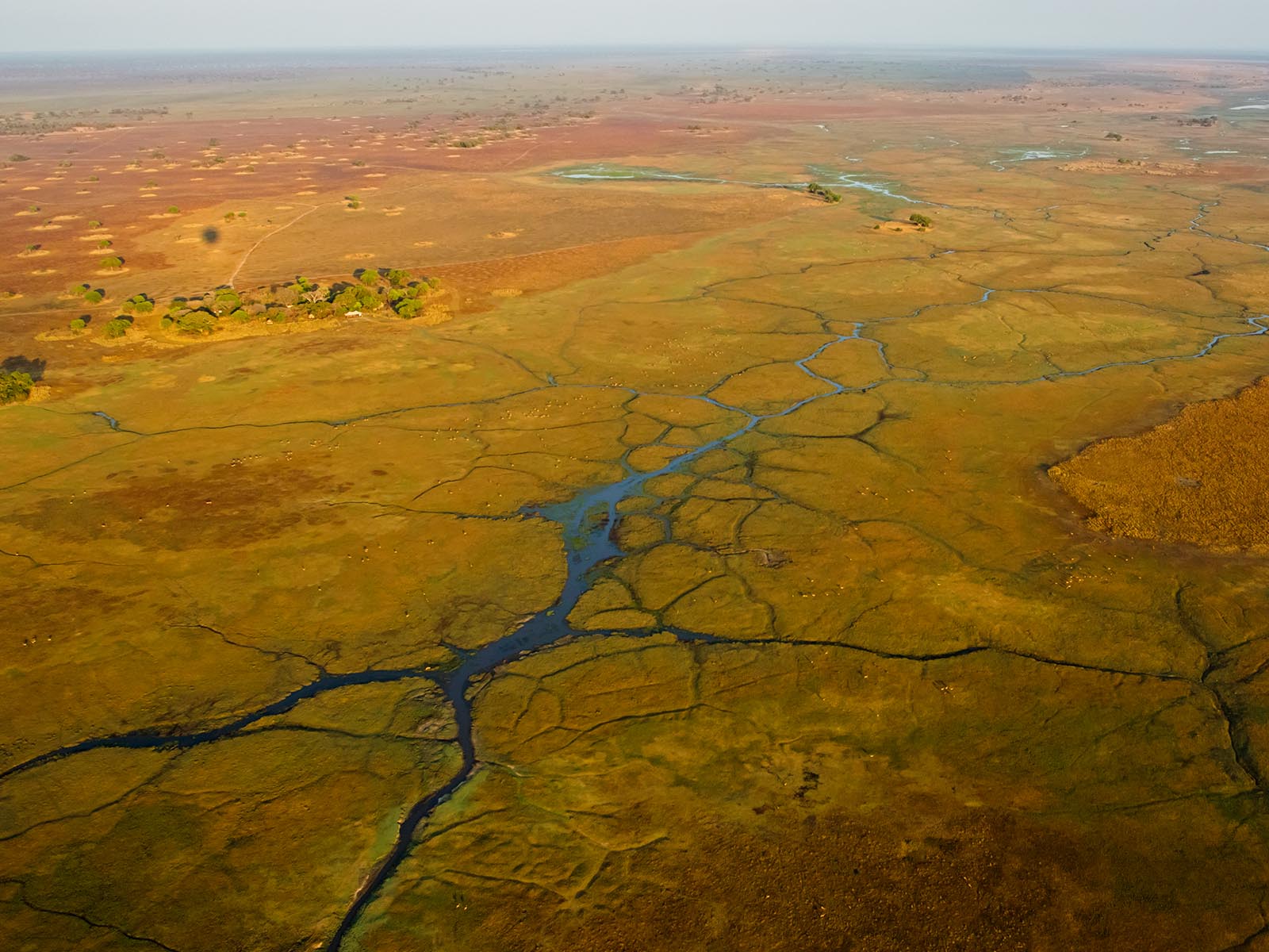 Aerial view of Busanga Plains and Busanga Bush Camp in Kafue National Park taken from a hot air balloon; photograph by Wildlife & Wilderness on safari in Zambia