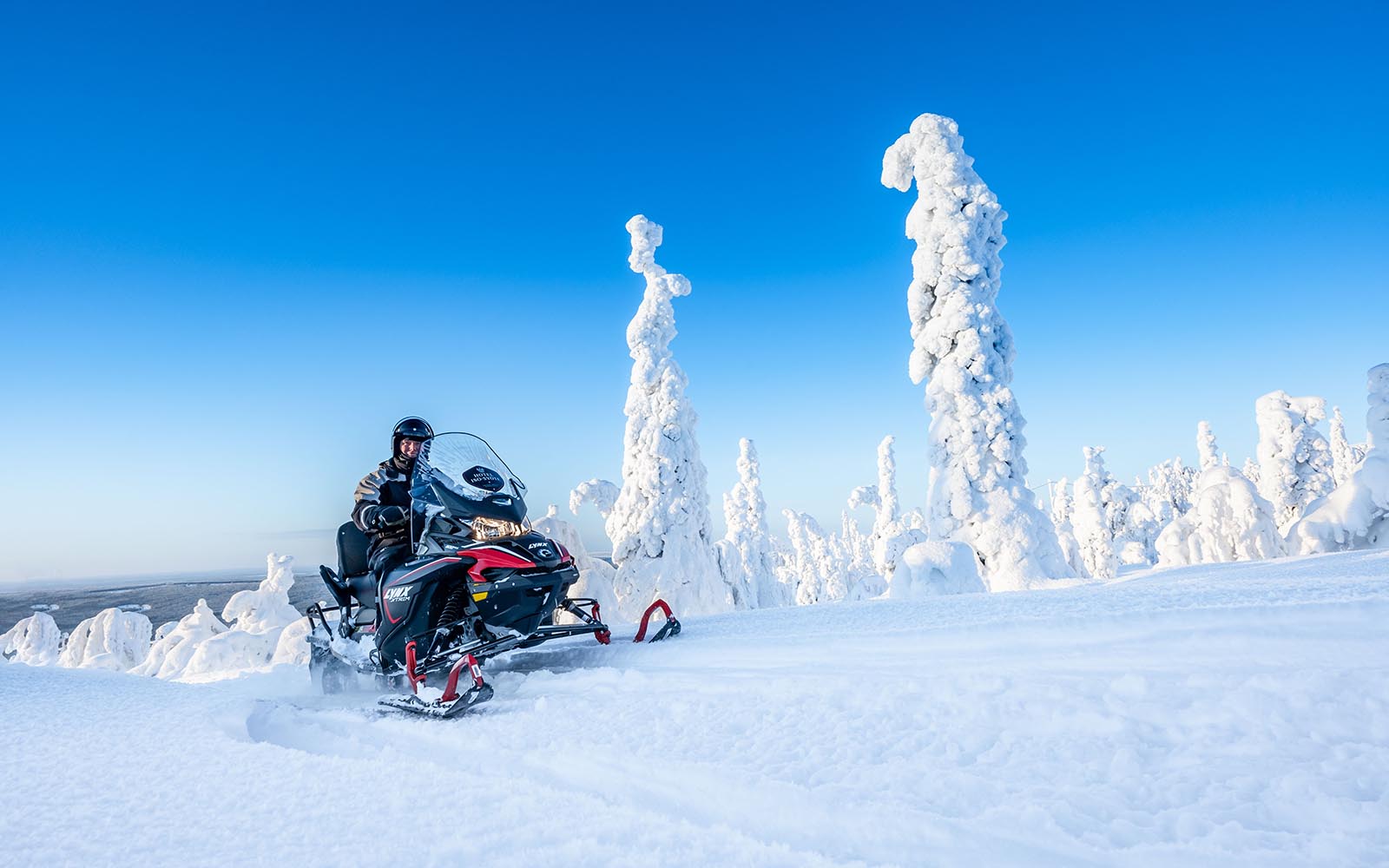 A red and black snowmobile pauses at the edge of a frozen lake, the tall trees are bent over by the weight of the snow. 