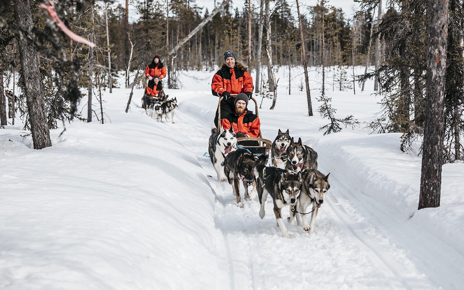Two teams on a husky safari zoom along a trail in snow covered landscape in Finnish Lapland, one person sits in the sled and another stands on the rails, mushing the team of of dogs