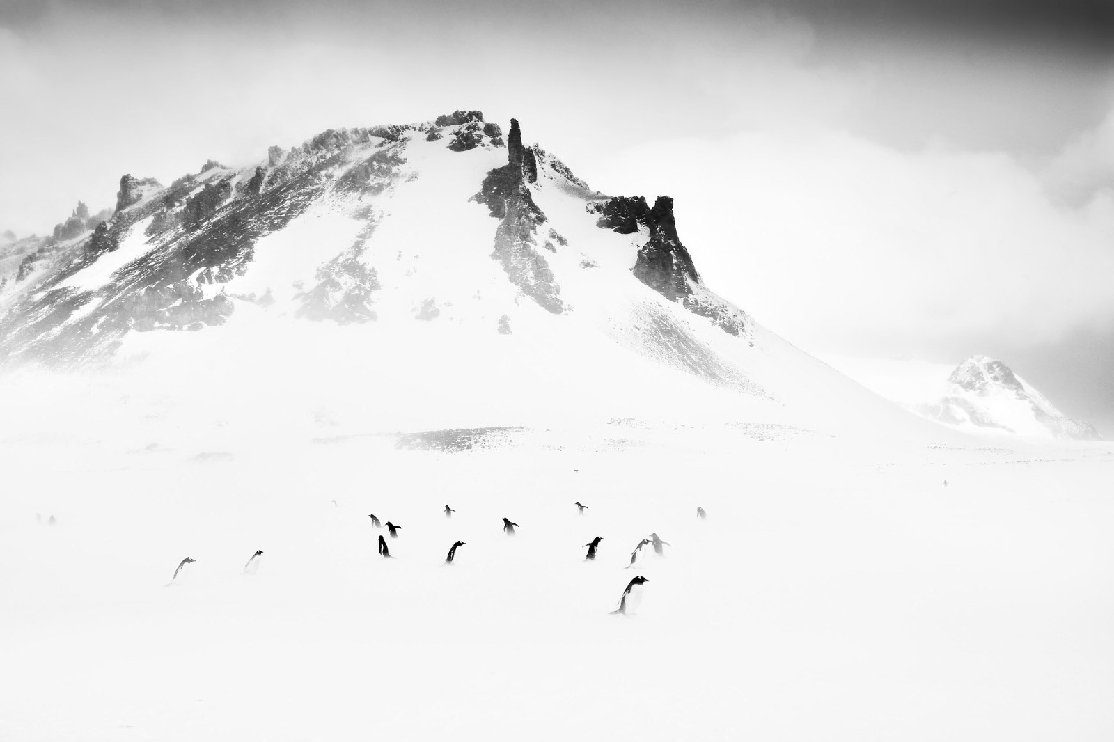 Black and white landscape photograph of penguins in front of a rocky mountain, Antarctica