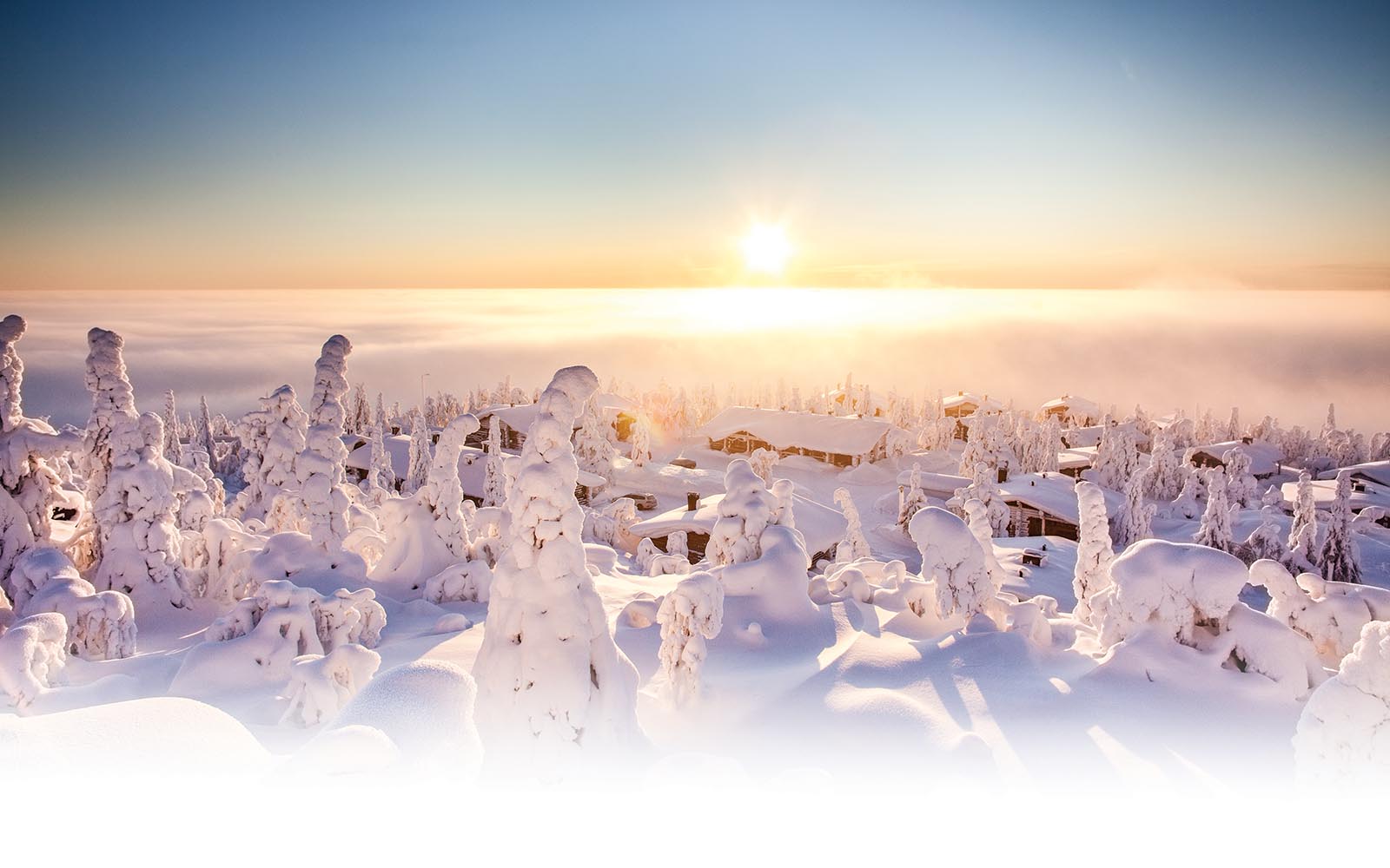 a winter view from the top of the fell at Iso Syote, Finland.  The trees are encased in snow and the sun sits low on the horizon casting a golden glow over the frozen white landscapee