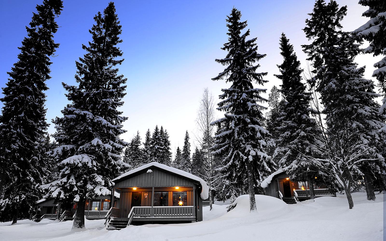 A cosy wooden cabin sits in a snowy landscape surrounded by tall trees at Brandon Lodge near Lulea, Sweden