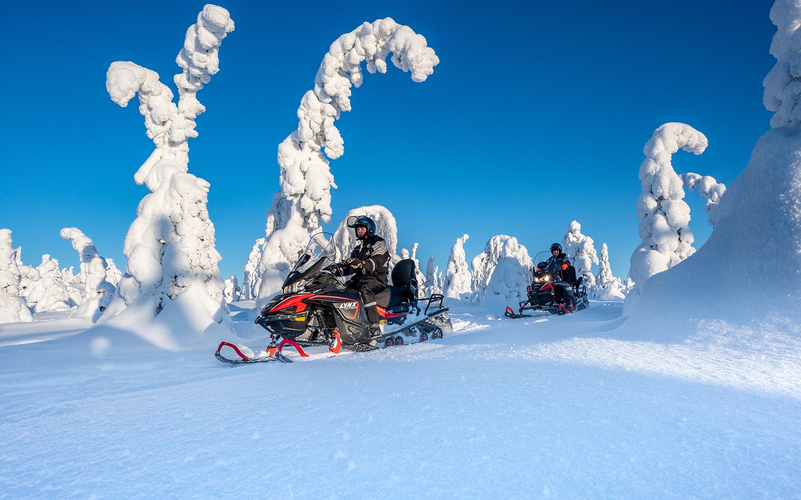 Two red and black snowmobiles ride though a frozen landscape, the tall trees bent over by the weight of the snow. 