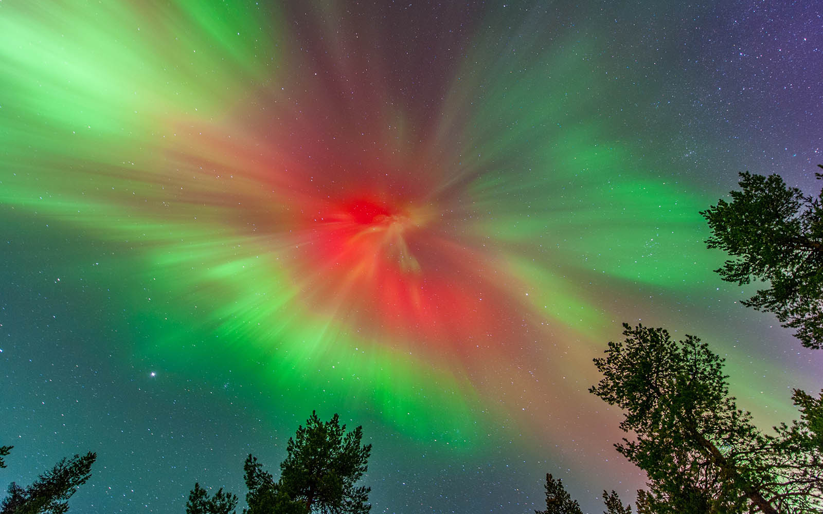 A bright blast of the northern lights (aurora borealis) with red at the centre and green edges taken by T Andersson in Kiruna, Swedish Lapland 