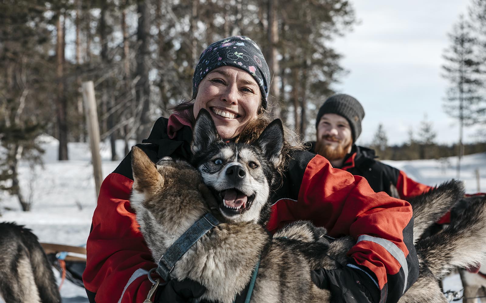 A happy lady cuddles two huskies during a dog sled safari in Finnish Lapland, one of the huskies looks directly at the camera with his ears pricked up and is almost smiling