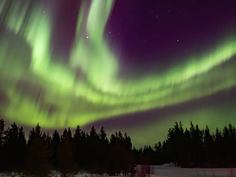 Curtains of green northern lights drape across the night sky in Yllas, Finland