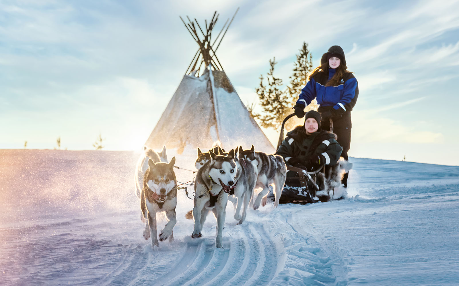 A team of 6 energetic huskies on a dog sled safari are pulling a sled with a seated man while a lady mushes.  They are in a snowy landscape with a traditional Finnish Kota tent in the the background