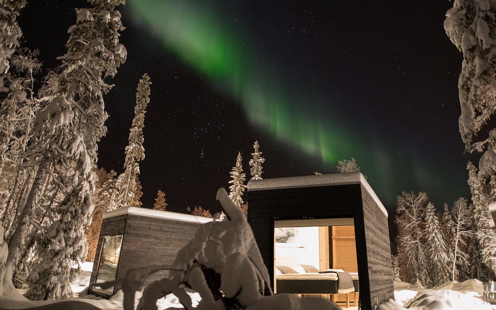 A breathtaking winter scene featuring the Panorama Cabins at Vaattunki Wilderness Resort surrounded by tall, snow-covered pine trees. The interior of the nearest cabin is warmly lit and above the cabins, the Northern Lights (aurora borealis) cast green hues across the starry night in Finnish Lapland