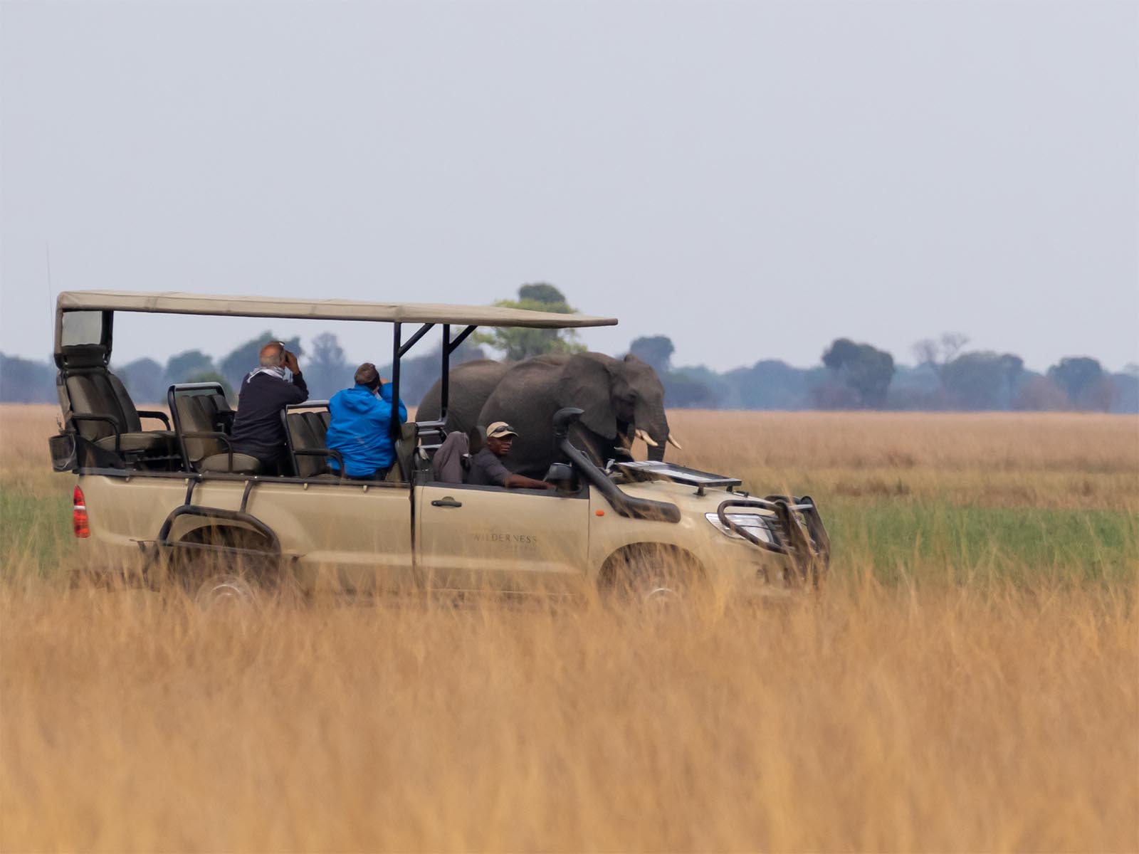 Guests watching elephants from a safari vehicle on Busanga Plains, Kafue National Park; photograph taken on safari in Zambia by Wildlife & Wilderness 