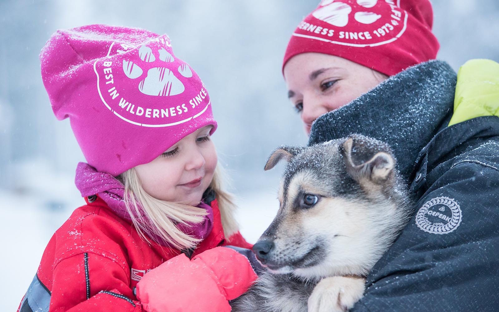 a young child in a bright pink hat pets a husky pup held by a grown up at Harriniva Sled Dog Centre in Lapland, Finland