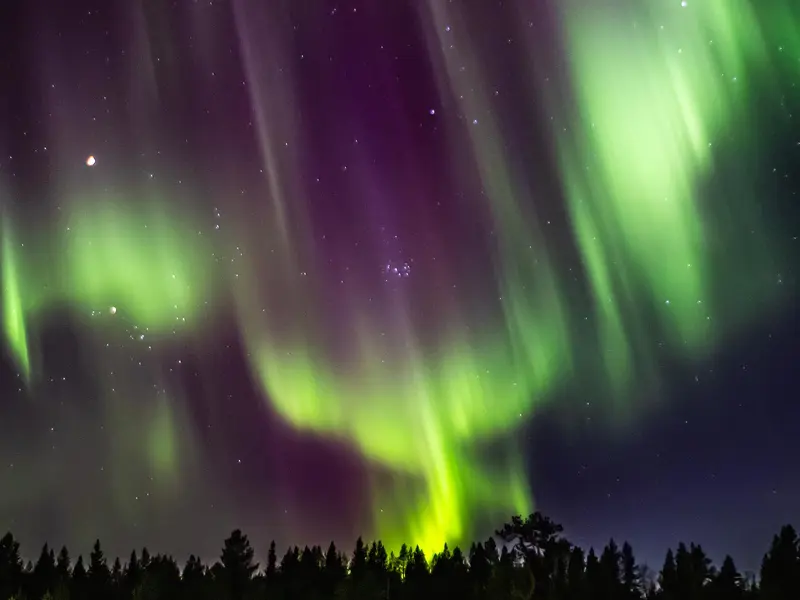 Purple and green northern lights swirl above Yllas in Finnish Lapland