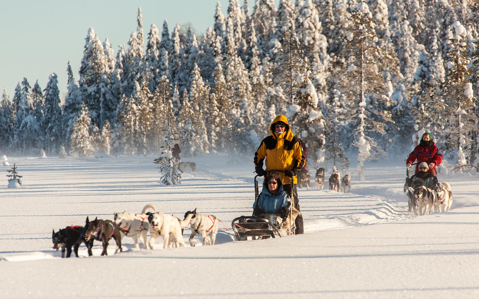 Guests from Hotel Iso Syote enjoy an exhilarating husky safari.  Riding 2 persons per sled they emerge from the snow laden forest to cross a frozen lake. 